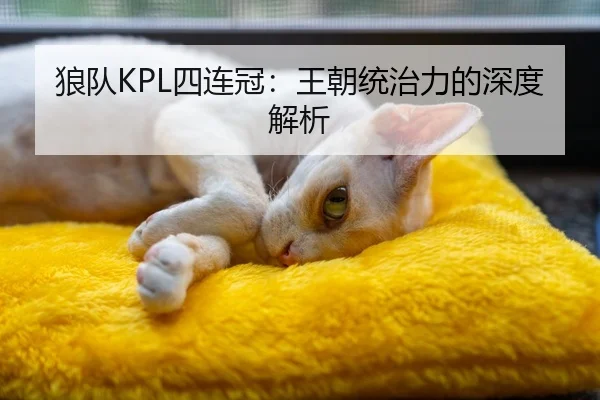 狼队KPL四连冠：王朝统治力的深度解析
