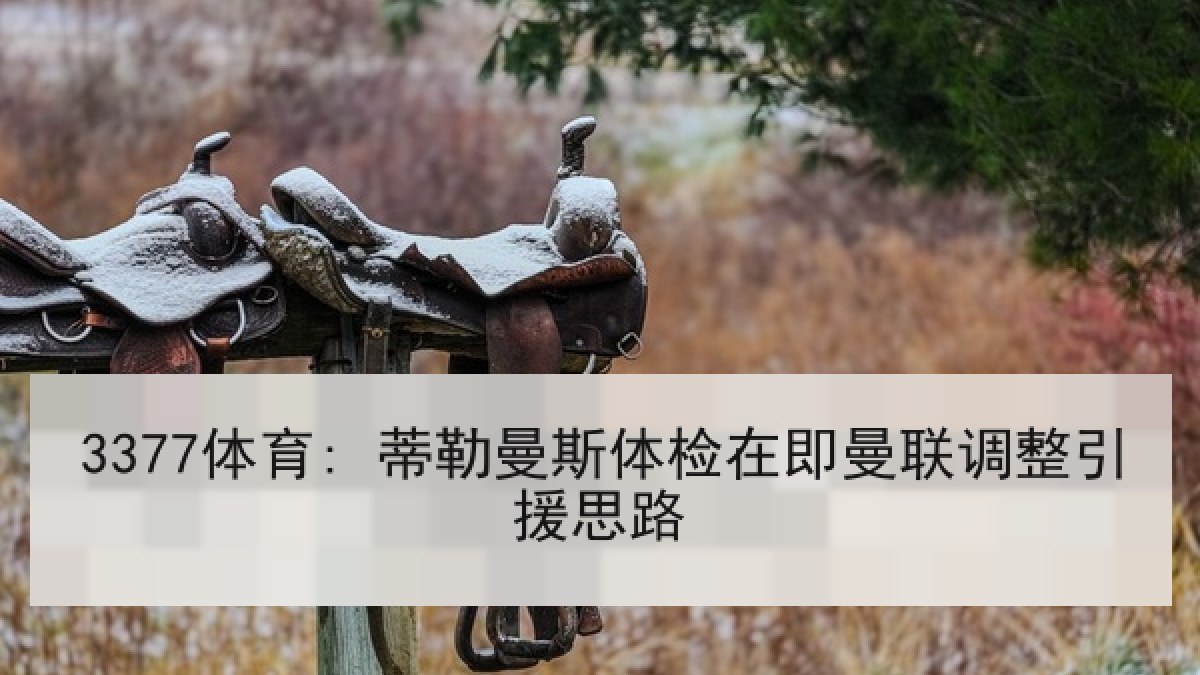 3377体育: 蒂勒曼斯体检在即曼联调整引援思路 3377体育: 蒂勒曼斯体检在即曼联调整引援思路