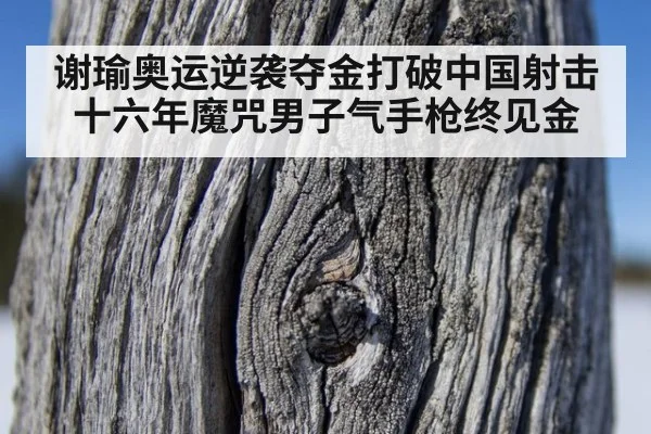 谢瑜奥运逆袭夺金打破中国射击十六年魔咒男子气手枪终见金